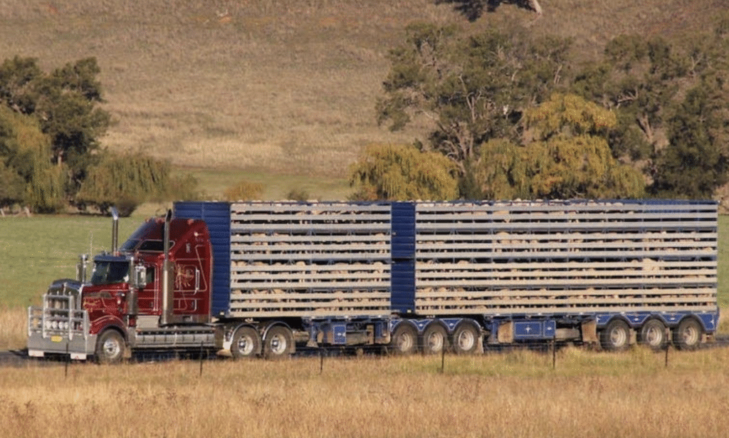 Livestock Truck Insurance