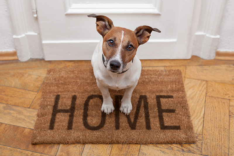 Home And Contents Insurance 3